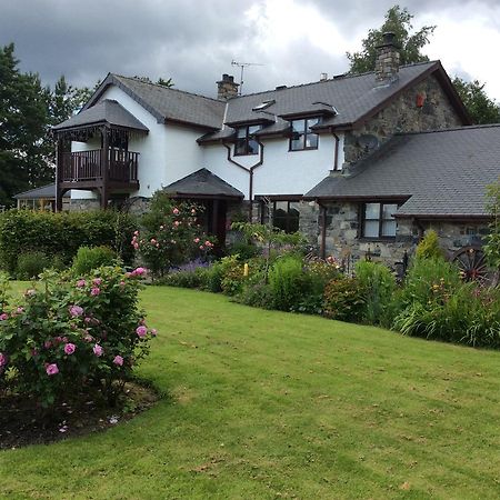Cysgod Y Garn Bed & Breakfast Bala Exterior foto