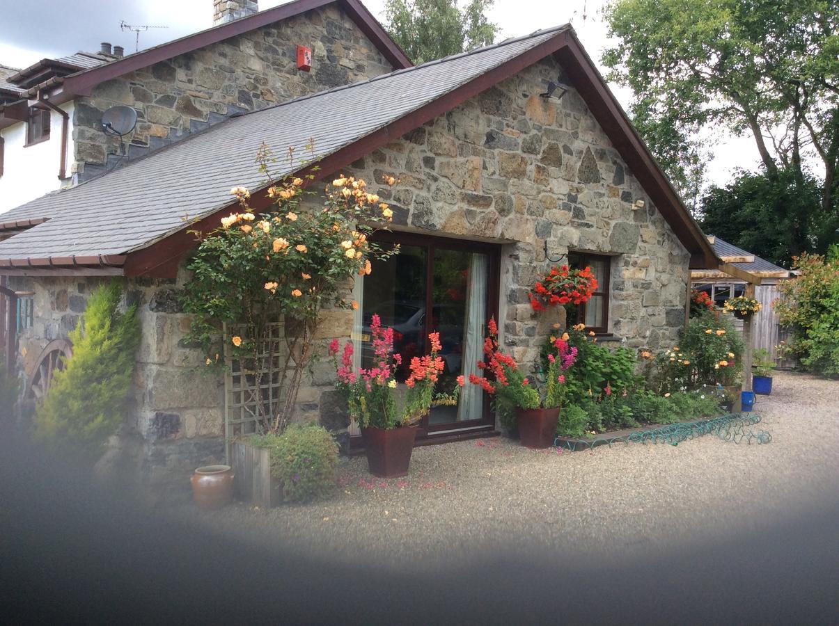 Cysgod Y Garn Bed & Breakfast Bala Exterior foto